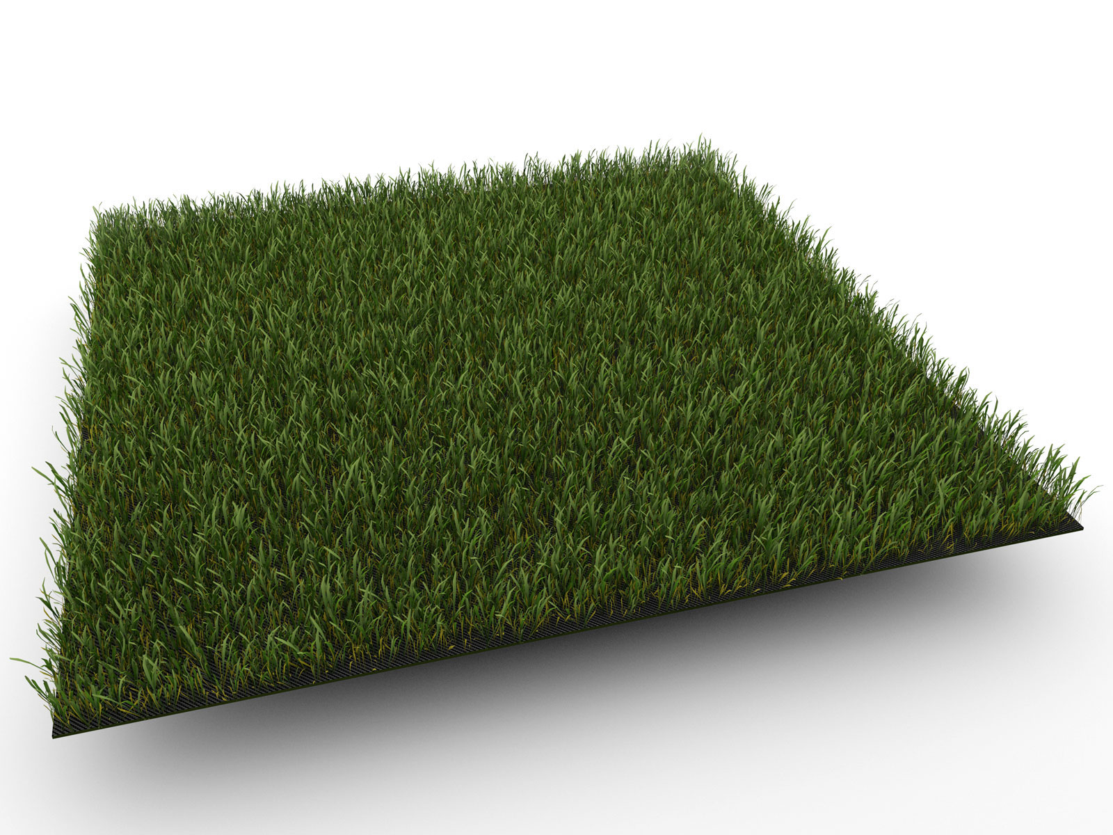 3D Realistic Product Model of Synthetic Lawn top view