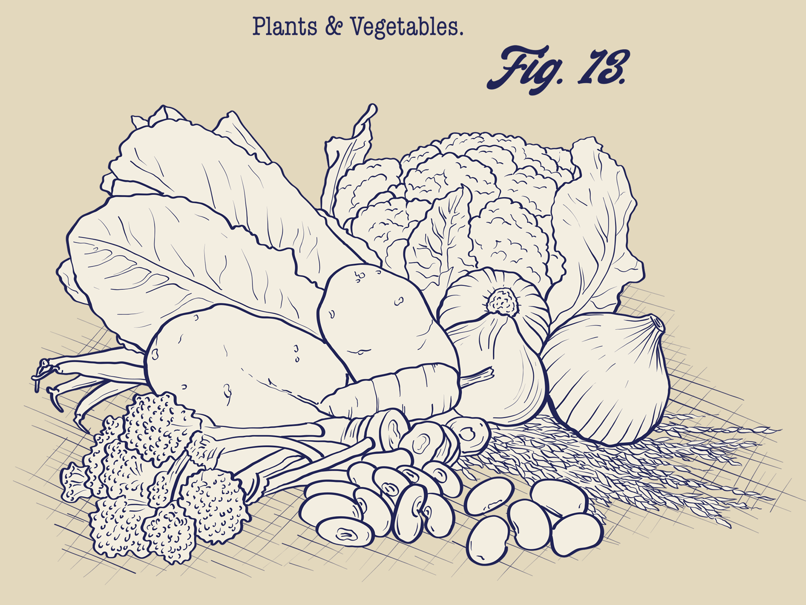 Plants and vegetables line art drawing